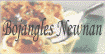 Bojangles Newnan Logo